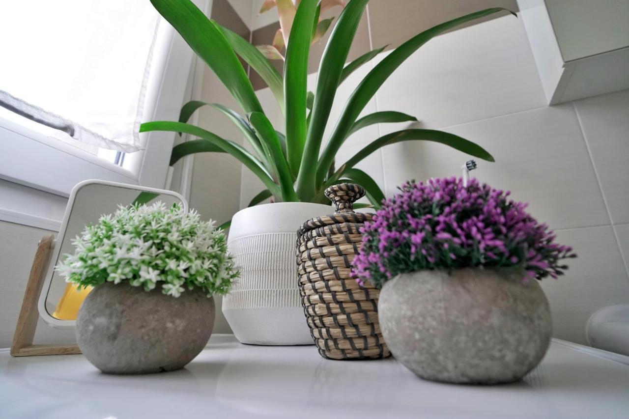 Apartment Rentopolis - Palazzo Candiani *